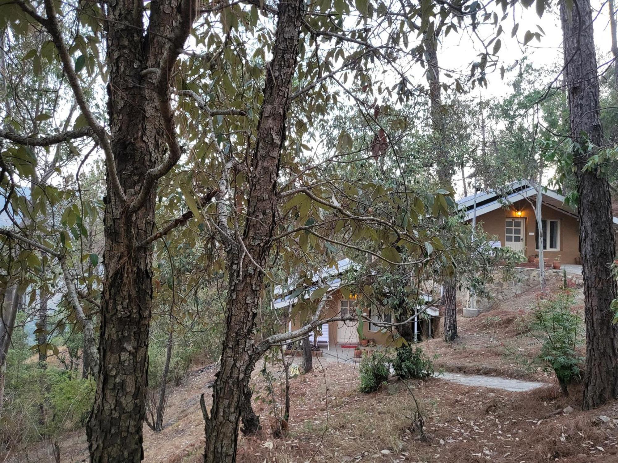 Rainbow Resorts Solan Room photo